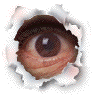b_eyeflash.gif (15346 bytes)